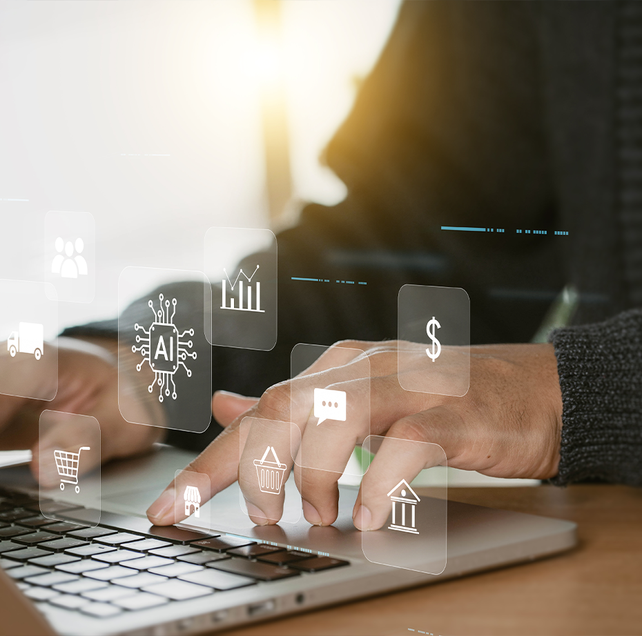 web-developer